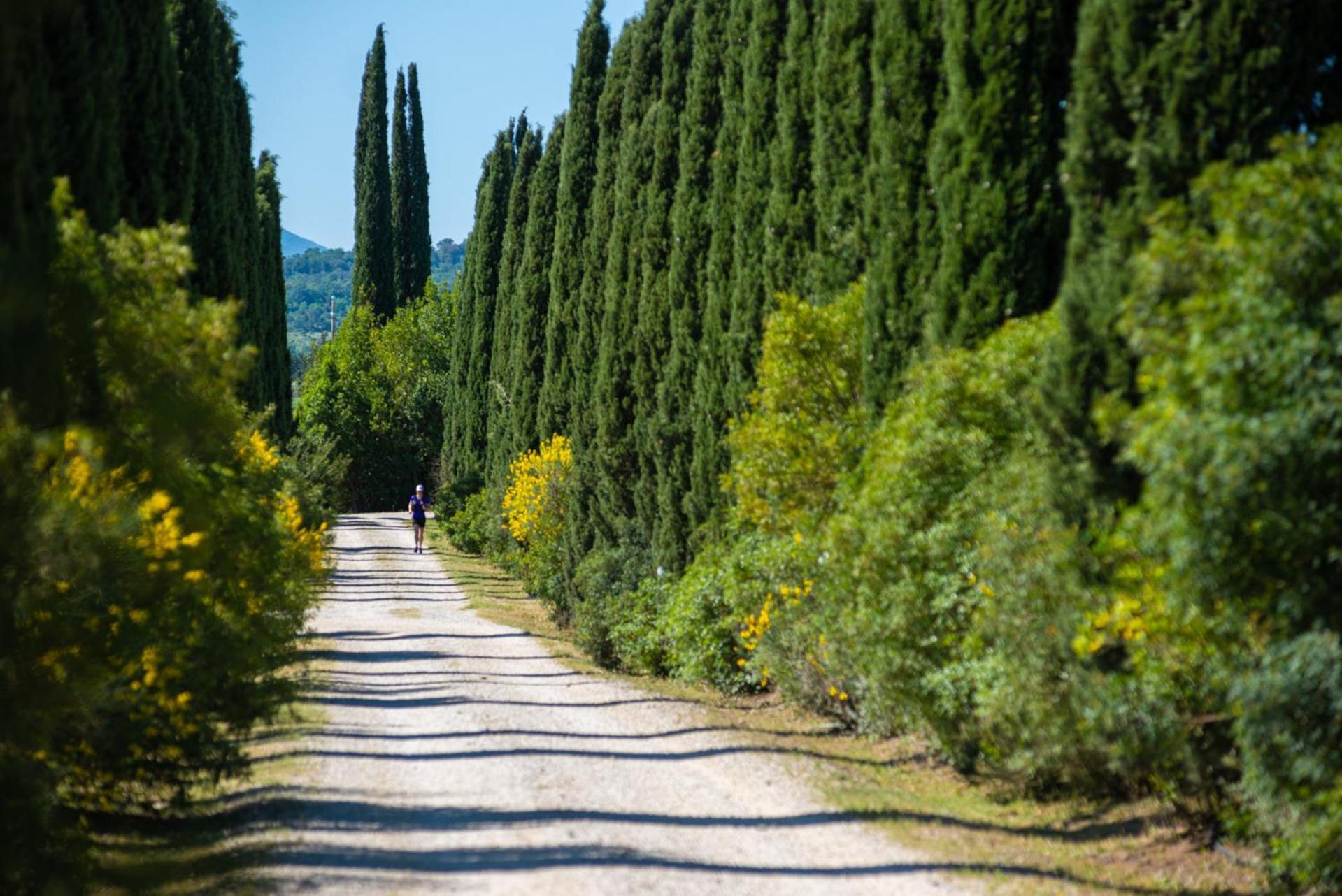 Tenuta Il Cicalino Massa Marittima Exterior foto